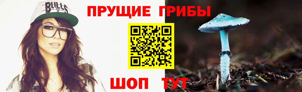 наркошоп  Галлюциногенные грибы Cubensis  Вход с VPN  Комсомольск-на-Амуре 